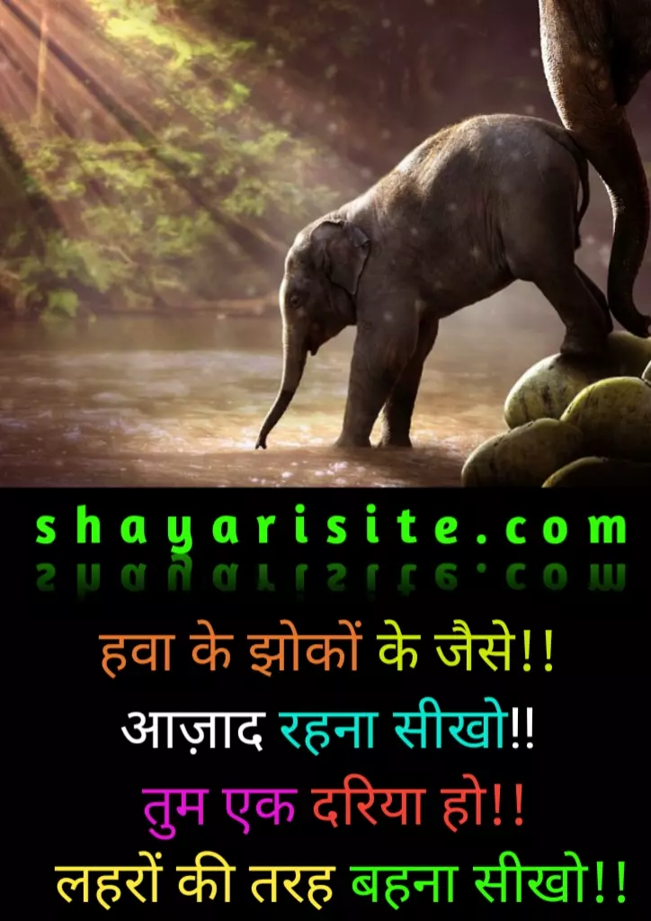 nature quotes,
nature status,
nature whatsapp status,
natural beauty quotes,
nature love quotes,
nature quotes in english,
environment quotes,
greenery quotes,
nature thoughts,
nature quotes short,
nature quotes in hindi,
nature peace quotes,
forest quotes,
beautiful nature quotes,
green nature quotes,
best nature quotes,
nature travel quotes,
natural life quotes,
quotes related to nature,
quotes about nature and life,
scenery quotes,
wildlife quotes,
good morning nature quotes,
enjoying nature quotes,
nature healing quotes,
quotes on nature love,
nature view quotes,
mother nature quotes,
human nature quotes,
lost in nature quotes,
nature vibes quotes,
mother earth quotes,
nature status in hindi,
nature quotes in marathi,
beautiful scenery quotes,
helping nature quotes,
nature status in english,
feel the nature quotes,
village nature quotes,
nature adventure quotes,
quotes about nature and love,
nature walk quotes,
nature caption for facebook,
nature sayings,
outdoor quotes,
quotes about nature and water,
rumi quotes on nature,
natural beauty quotes for her,
real nature quotes,
make some quotes about nature,