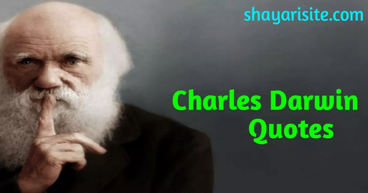 charles darwin quotes, charles darwin motivational quotes, darwin quotes, charles darwin quotes on change, darwin quotes on evolution, charles darwin quotes about life, charles darwin famous quotes, charles darwin quotes on evolution, charles darwin quotes survival of the fittest, charles darwin sayings, charles darwin best quotes, charles darwin survival of the fittest quote, origin of species quotes, darwin famous quotes, darwin quote on change, charles darwin quotes on survival, charles darwin adaptation quote, darwin adapt quote, darwin quotes natural selection, charles darwin quotes adaptation, darwin quotes on survival, darwin saying, charles darwin quote on adaptation, darwin quote on adaptation, darwin phrases, charles darwin quotes on natural selection, darwin quote about survival, darwin sayings, darwin quote it is not the strongest, charles darwin theory of evolution quotes, charles darwin most famous quote, a quote by charles darwin about evolution, endless forms most beautiful darwin quote, charles darwin sayings and quotes, best darwin quotes, charles darwin quotations, darwin quote endless forms most beautiful, darwin quotes against evolution, charles darwin quotes adapt to change, a quote by charles darwin, charles darwin famous quotes evolution, a quote from charles darwin about evolution,